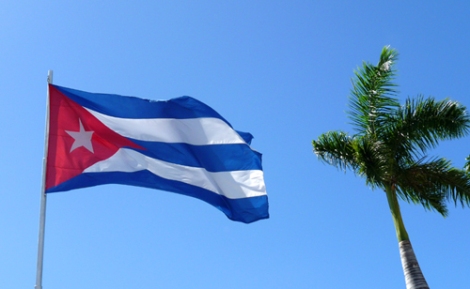 Bandera cubana y palma real